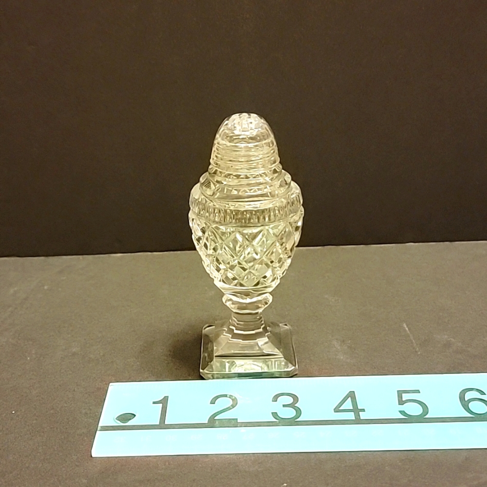 CUT Crystal Salt Shaker